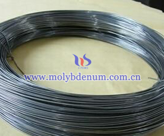 Black Molybdenum Wire Picture